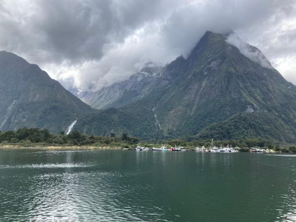 Milford Sound cruise