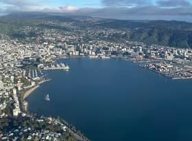 Wellington by air - 2024